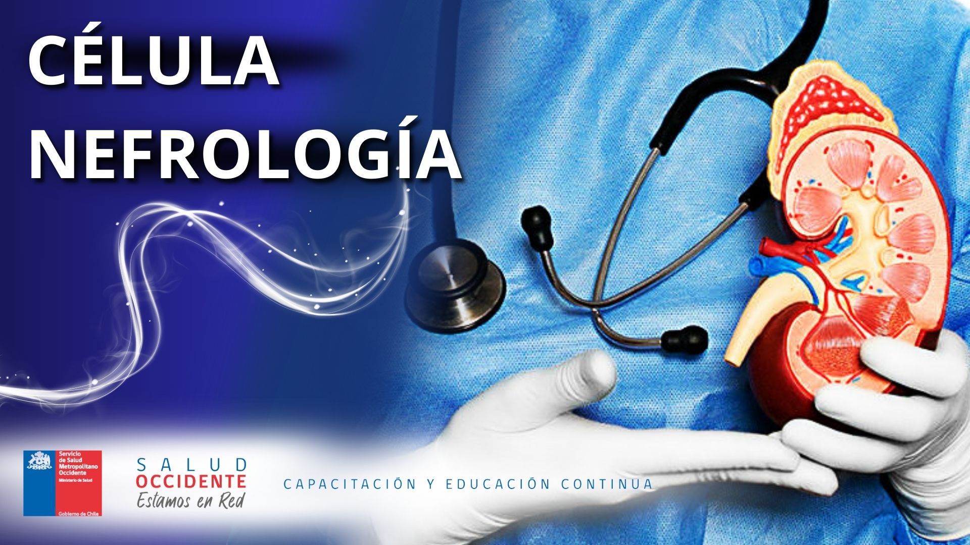 Célula Nefrología 