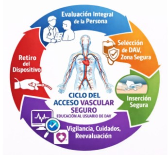 Acceso Vascular - 2026