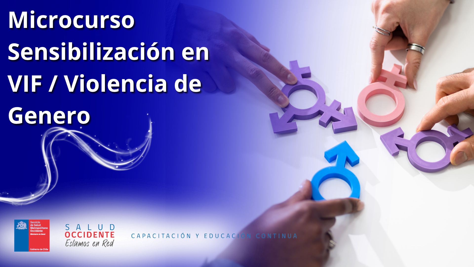 Microcurso Sensibilización en VIF / Violencia de Genero 