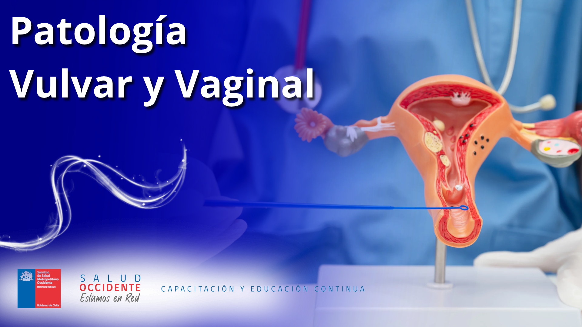 Patología Vulvar y vaginal 