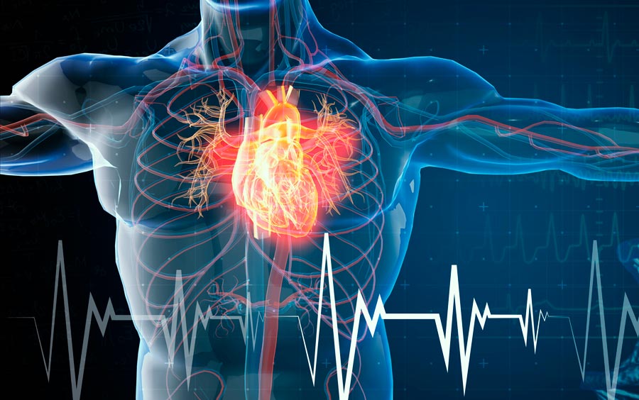 Actualización en Salud Cardiovascular 